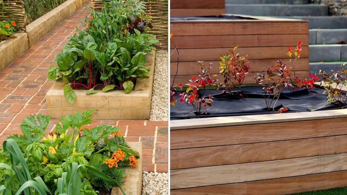 How to Create a Raised Bed to Grow Your Plants: Step-by-Step Guide for Healthier Soil and Bigger Harvests