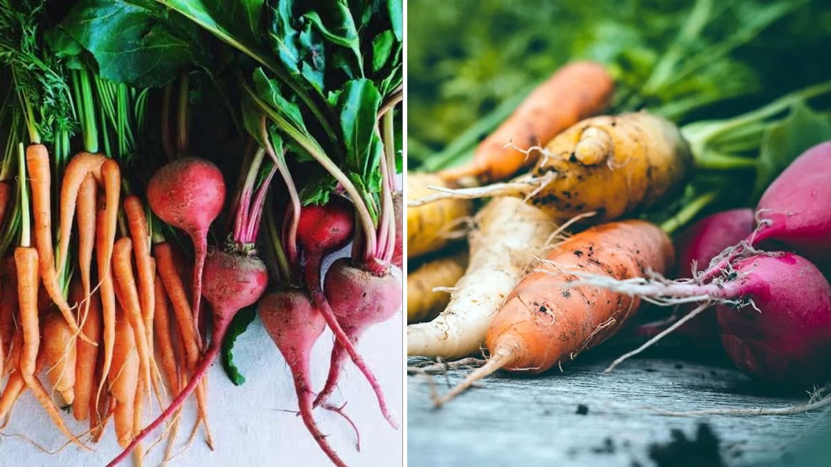 Transform Your Balcony Into a Nutrient-Rich Vegetable Garden for Year-Round Harvests