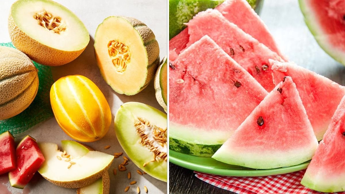 No Garden? Learn How to Grow Sweet Yellow Melons in Buckets Easily at Home