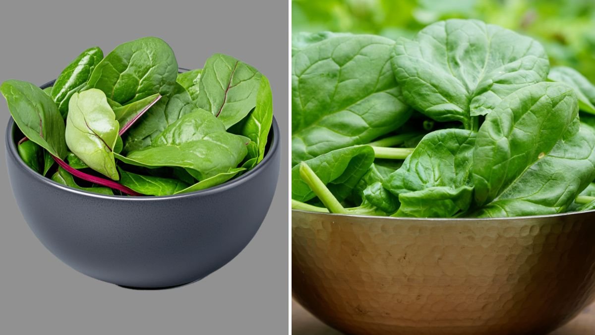 3-Tier Vertical Garden Full of Spinach: Grow Fresh Greens in Small Spaces