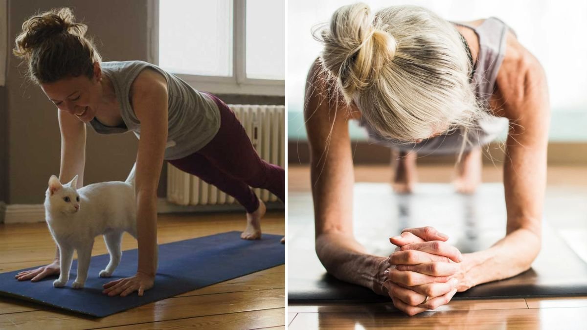 4 Daily Weight Loss Exercises to Tone Underarms and Burn Arm Fat Fast at Home