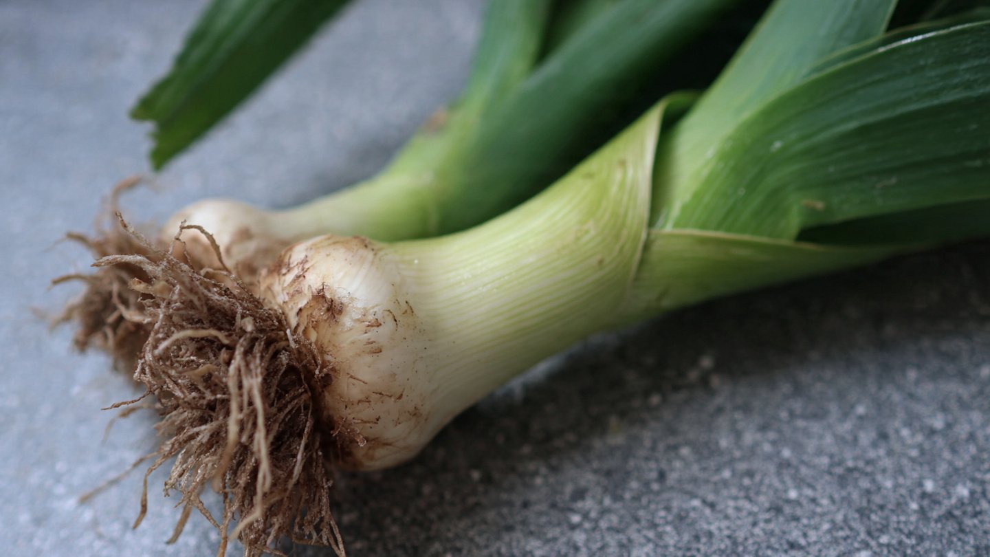 Can You Successfully Grow Leek Without Bulb Formation?