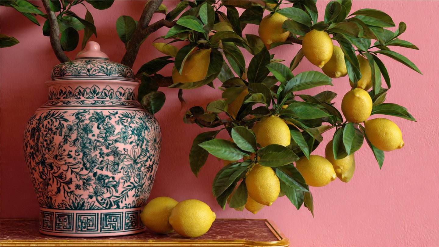 Easy Hacks to Grow Murraya Kamini for Home Decor That Will Transform Your Space